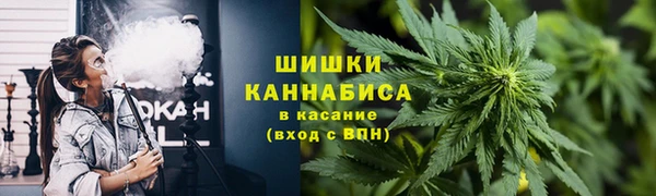 PSILOCYBIN Киреевск