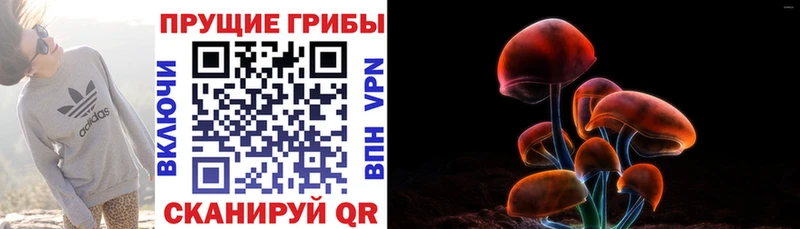 Купить  Нерюнгри  Галлюциногенные грибы мицелий 